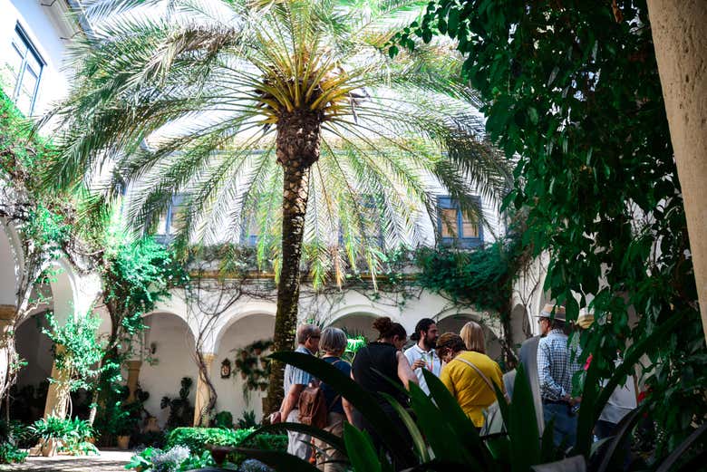 Tour Palacio de Viana