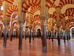 Bosque de colunas da mesquita