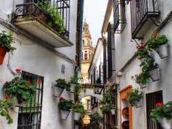 Rua das Flores