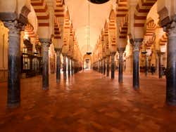 Passeando pela mesquita