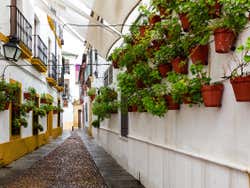 A judería de Córdoba