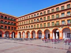 Bares da Plaza de la Corredera
