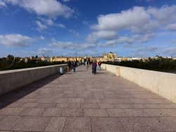 Passeando pela Ponte Romana