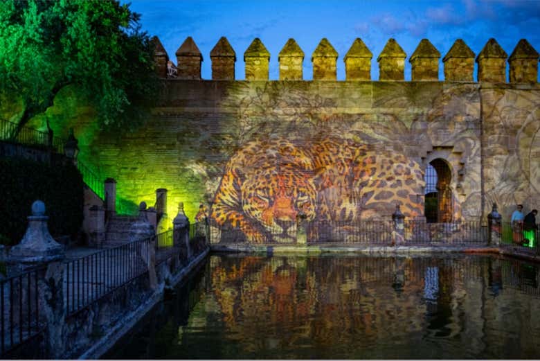 Naturaleza Encendida de Córdoba