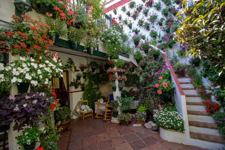 Visite des patios de Cordoue