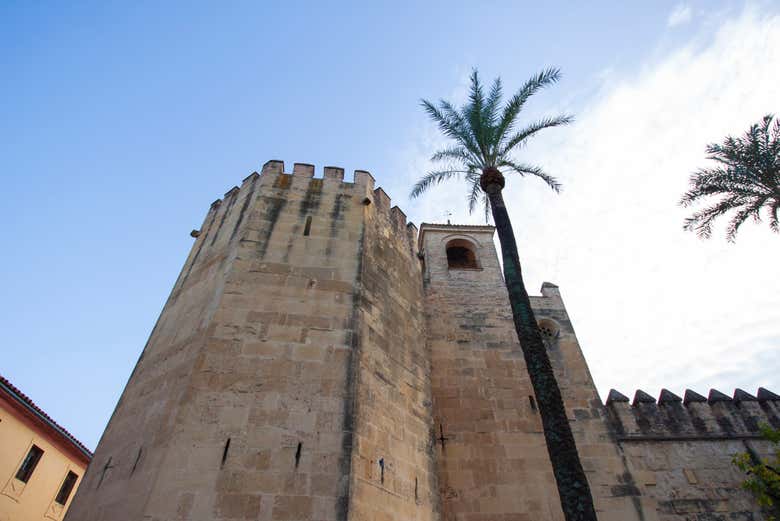 Admirando una de las torres del Alcázar de los Reyes Cristianos
