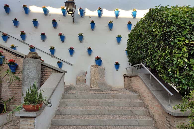 Zoco Municipal