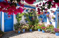 Tour por la judería y los patios de Córdoba