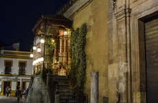 Tour nocturno por la judería de Córdoba + Naturaleza Encendida