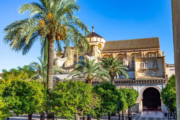 Visite privée de Cordoue avec visite de la mosquée et de l'Alcazar