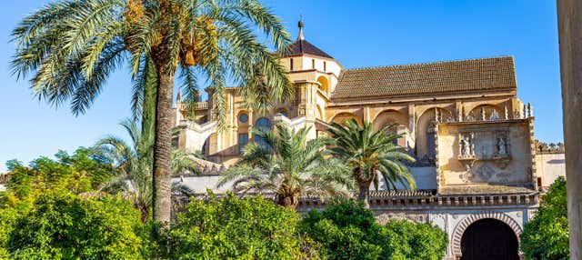Tour privado por Córdoba com visita à Mesquita e ao Alcácer