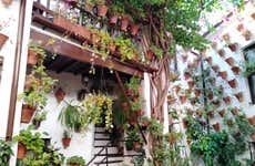 Tour privado por los Patios de Córdoba