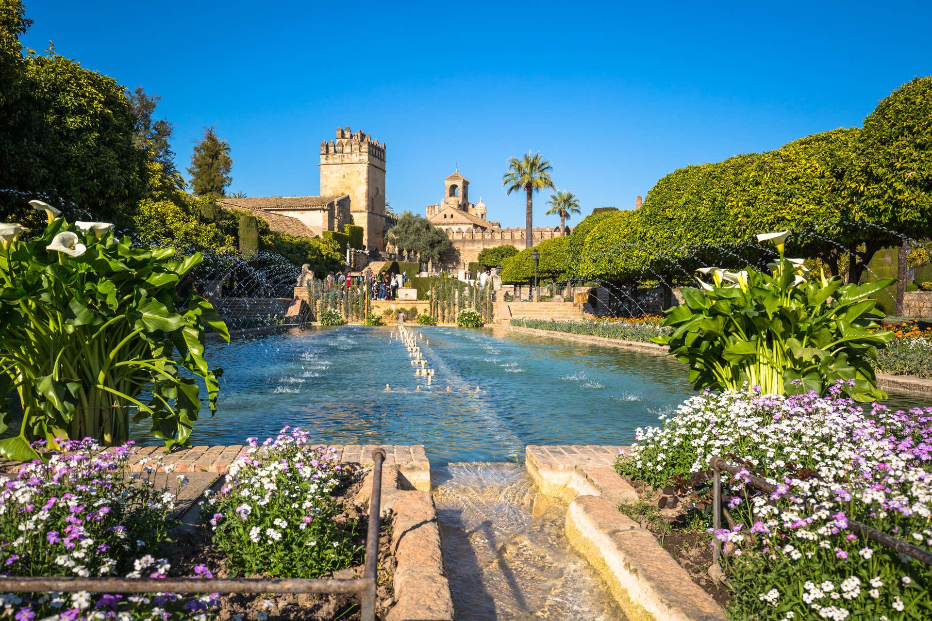 Visita guiada por el Alcázar y la Judería