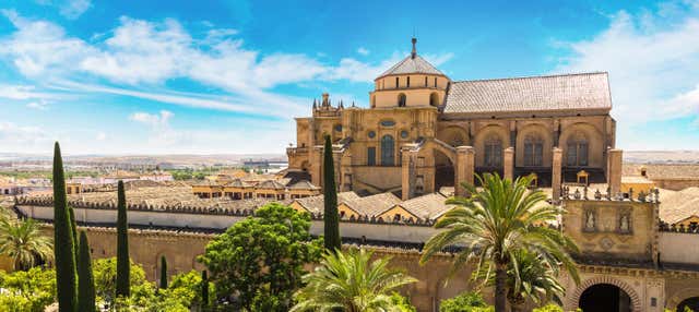 Visite guidée de la Mosquée et de l'Alcazar