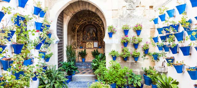 Visite guidée à travers les patios de Cordoue