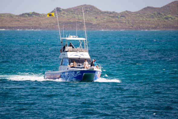 Whale Watching Catamaran Tour