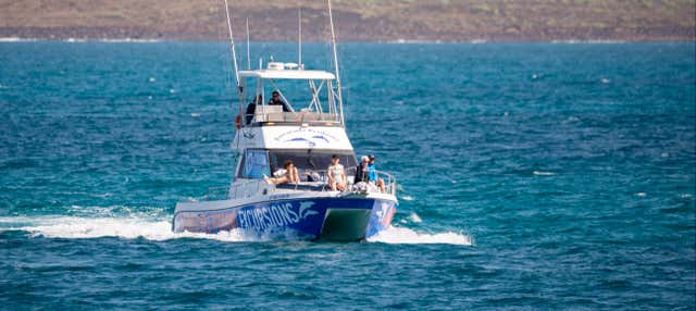 Paseo en catamarán con avistamiento de cetáceos desde Corralejo