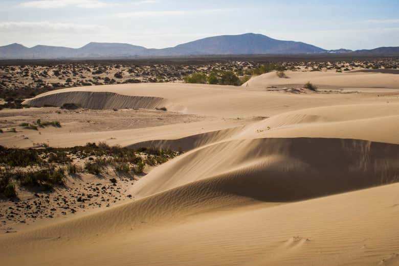 Panorámica de las dunas de Corralejo
