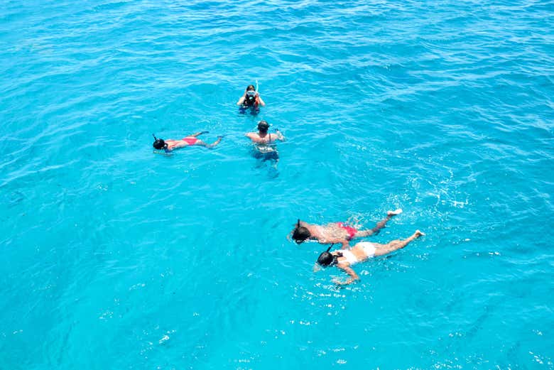 Família e amigos aproveitando natação e mergulho com snorkel
