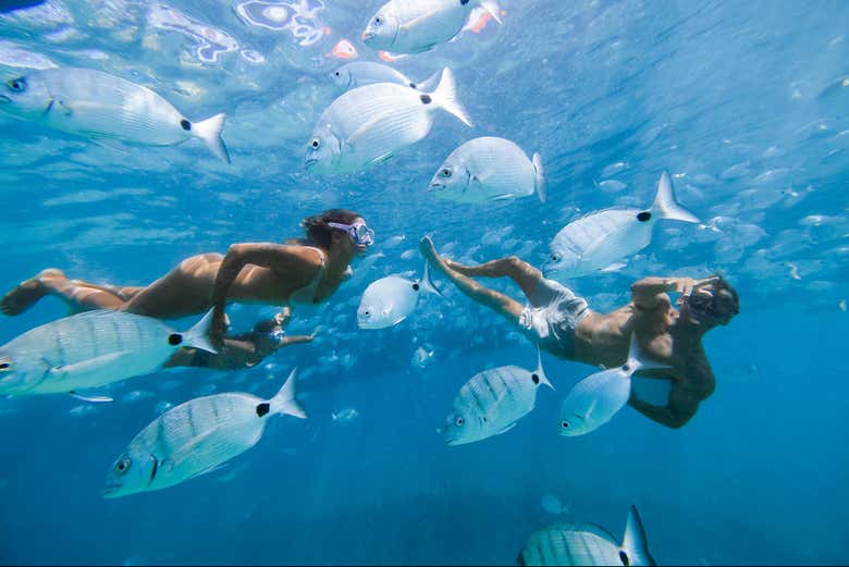Inolvidable snorkel en Isla de Lobos