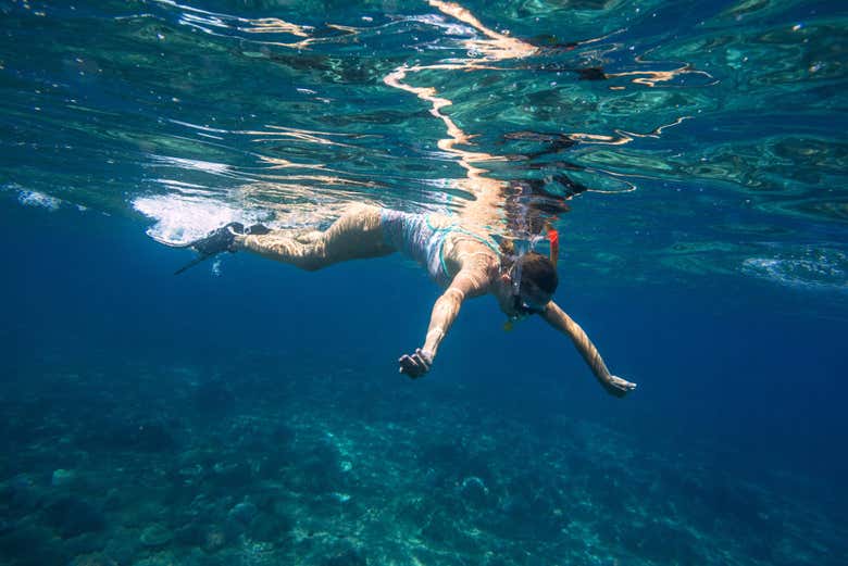 Praticando snorkel na ilha de Lobos