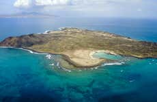Lobos Island Hike