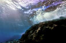 Paseo en barco por las lenguas de lava de Costa Adeje + Snorkel