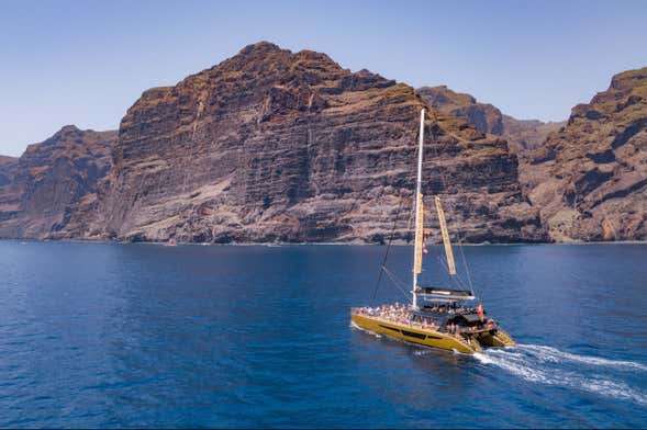 Excursión a Masca y Los Gigantes