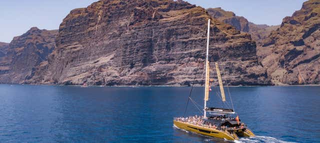 Excursión a Masca y Los Gigantes con avistamiento de ballenas y delfines