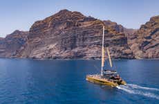 Excursión a Masca y Los Gigantes con avistamiento de ballenas y delfines