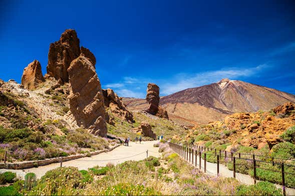 Teide National Park Day Trip