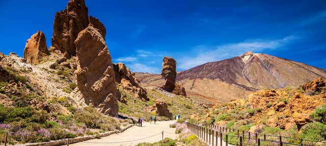 Excursion au parc national du Teide depuis le sud de Tenerife