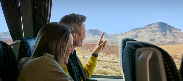 Excursão ao Teide saindo do sul de Tenerife