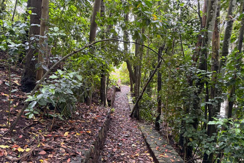 Senderos de Anaga