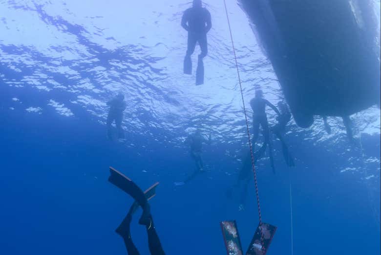 Exploring the seabed