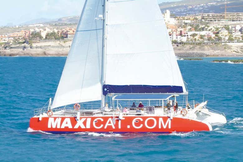 Paseo en catamarán por Costa Adeje