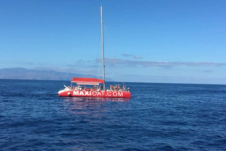 Surcando las aguas del Atlántico
