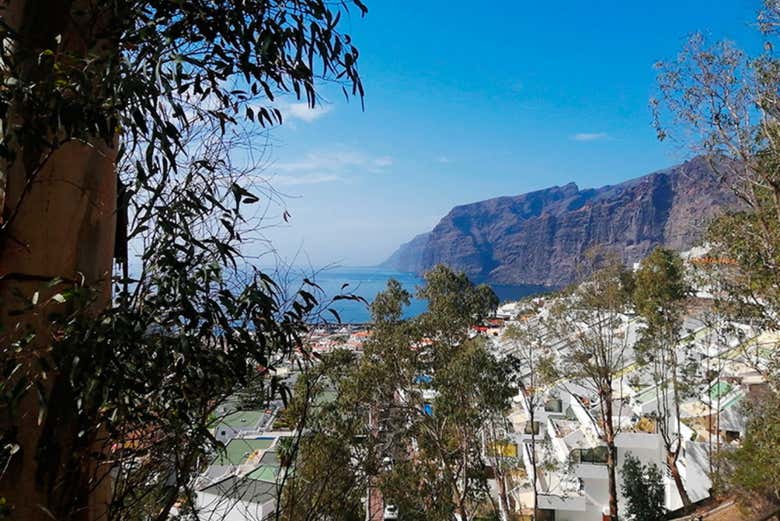 Acantilados desde Garachico