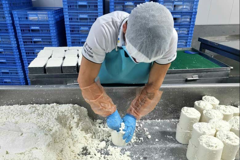 See how cheese is made