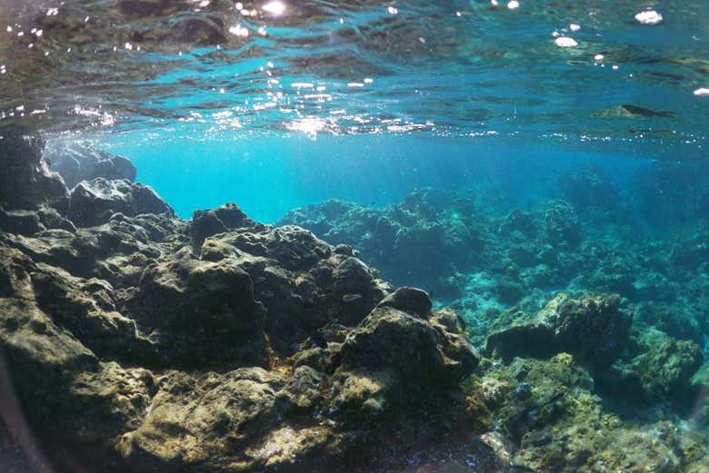 Admiring the underwater volcanic formations