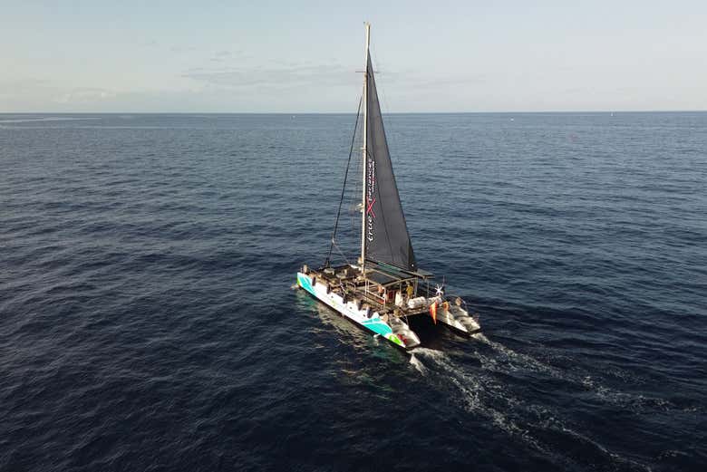 Navegando por la costa sur de Tenerife