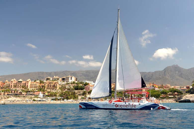 Sailing along the southern coast of Tenerife