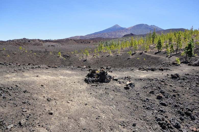 Paisagens vulcânicas do Teide
