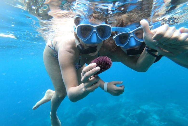 Una coppia intenta a fare snorkeling