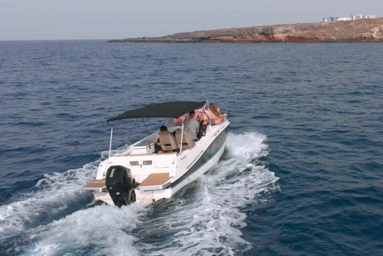 The boat trip along the south coast of Tenerife