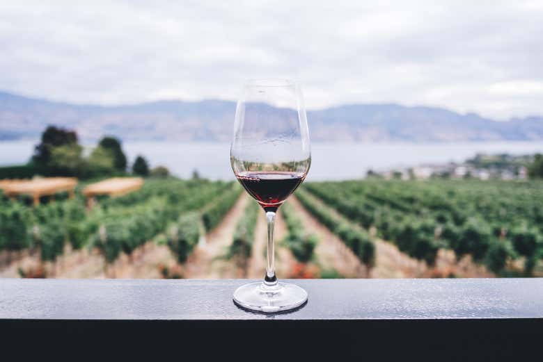 Uma taça de vinho tinto com os vinhedos ao fundo