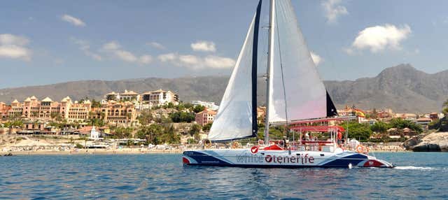 Paseo en catamarán de 5 horas con avistamiento y escucha de cetáceos