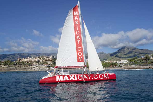 Paseo en catamarán por Costa Adeje