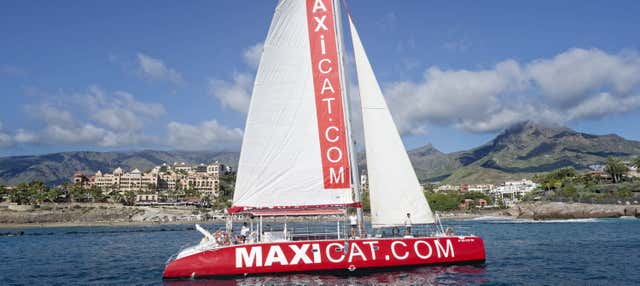 South Tenerife Cruise