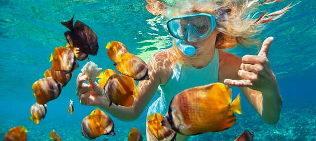 Snorkeling à la Pared de El Palmar